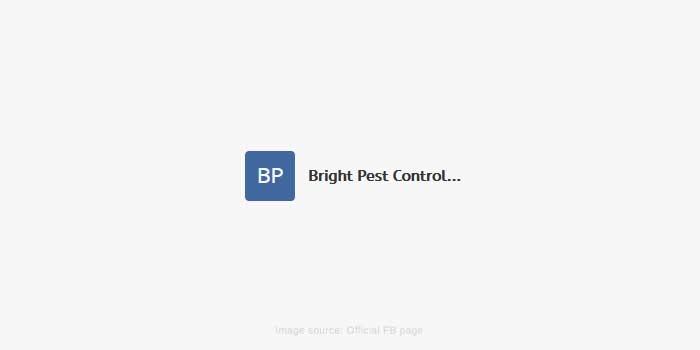 Bright Pest Control