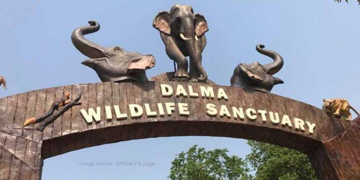 Dalma Wildlife Sanctuary