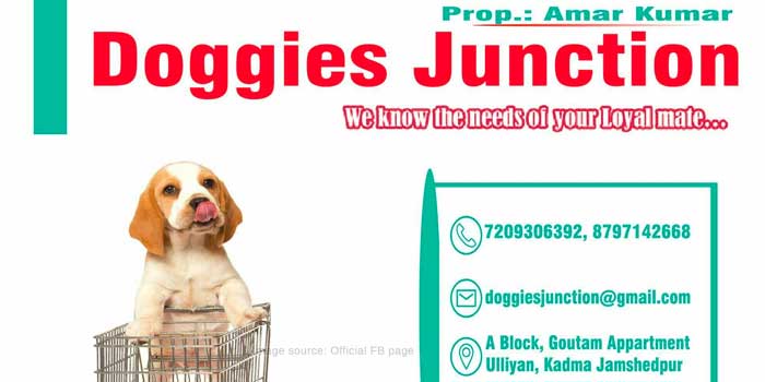 Doggies Junction