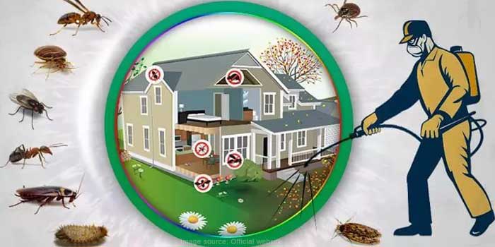 Eastern Pest Control Corporation, Rabindra Sarani, Siliguri