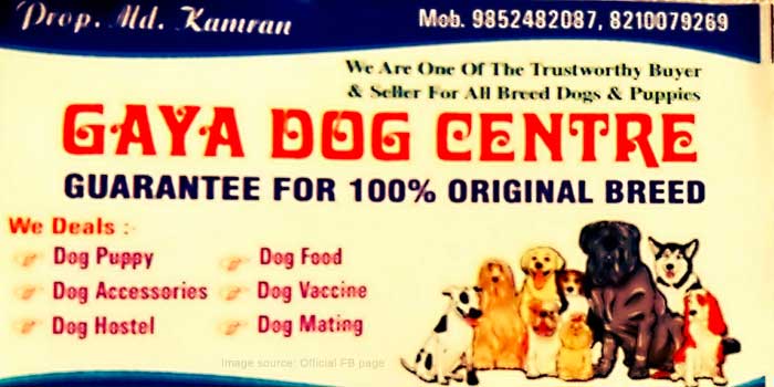 Gaya Dog Center, Bakri Farm Bhadeji, Gaya