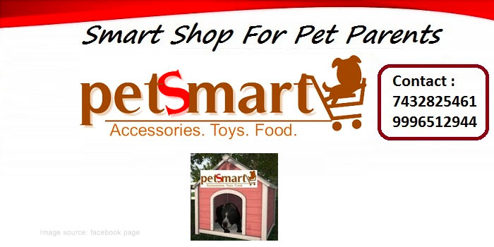 Pet Smart Durgapur