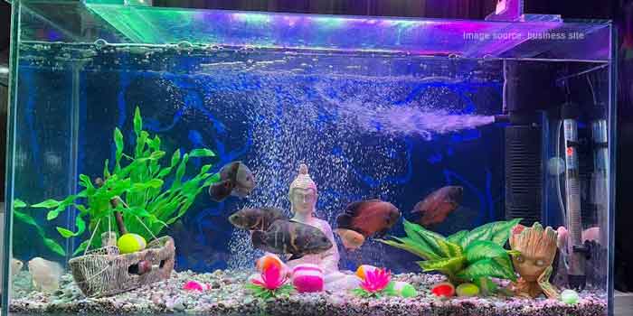 R.K. Aquarium, Baridhi, Jamshedpur