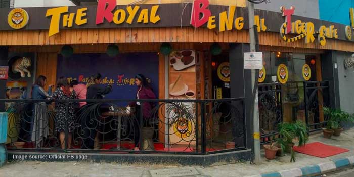 The Royal Bengal tiger café