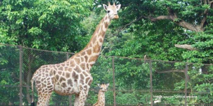 Alipore Zoological Garden, Kolkata