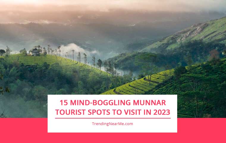 15 Mind-Boggling Munnar Tourist Spots to Visit In 2023