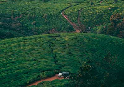 Kolukkumalai Tea Estate